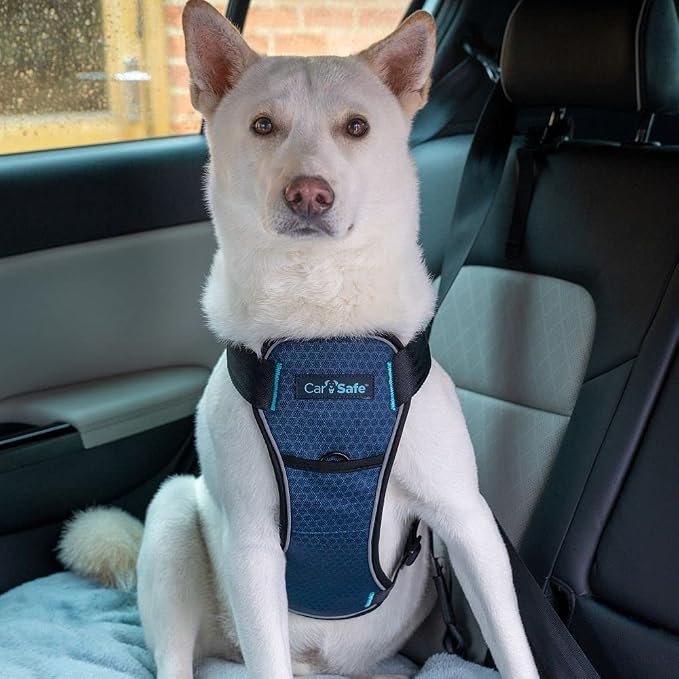 CarSafe Crash Tested Dog Safety Harness | Size M | Crash Tested to 32Kg/70lbs, Safely Secure Dog in the Car, Comfortable and Padded Design, for Toy, Small, Medium & Large Dogs