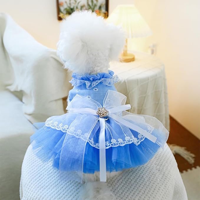 ANIAC Daisy Small Dog Dresses Female with Leash Ring,Bow Knot Girl Puppy Wedding Dress,Valentine's Cat Outfit,Fancy Pet Party Dress for Kitten Chihuahua Yorkie Pomeranian (Blue, Large)