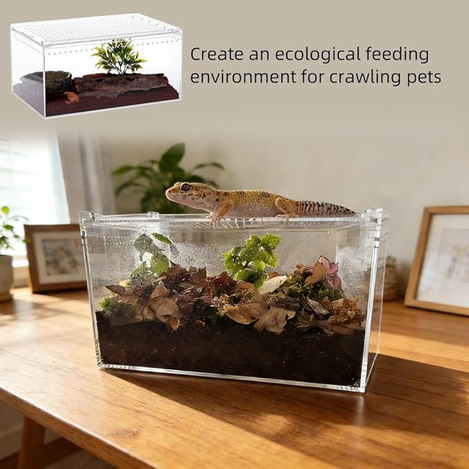 Acrylic Reptile Enclosure, No Assembly Small Reptile Breeding Box for Insect Tarantula Hermit Crab Jumping Spider (12x8x6 in)