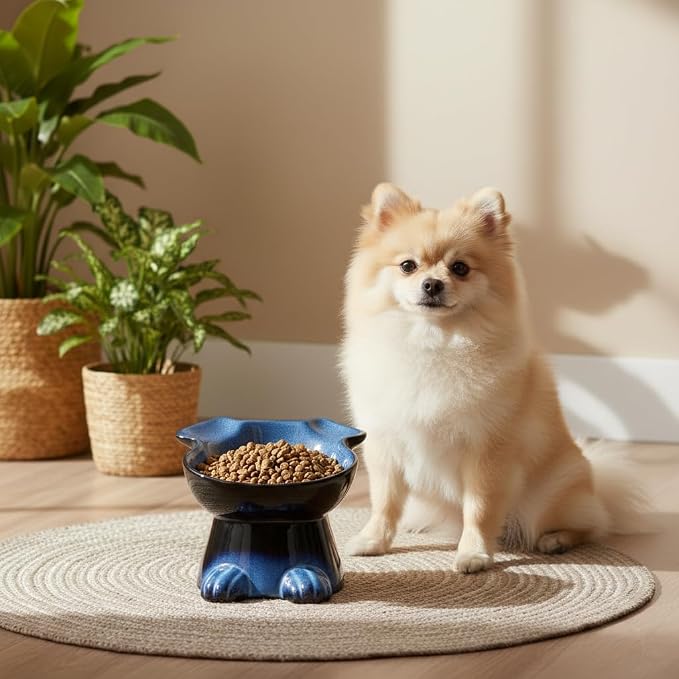 Nihow Elevated Ceramic Dog Bowls: 6.5 Inch Raised Dog Bowl for Food & Water | Food Safe Bowl for Medium/Small Size Dogs - Vivid Blue Puppy Bowls for Protecting Pet's Spine (1 PC)