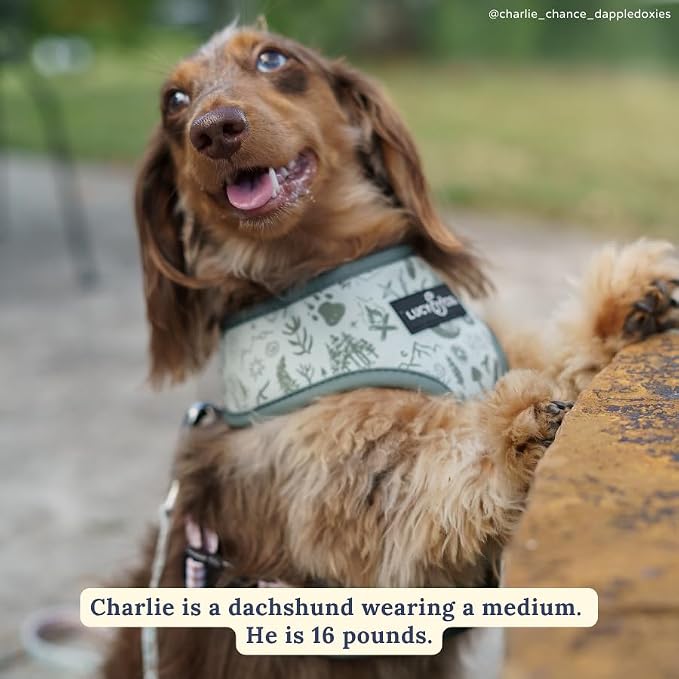 Lucy & Co. Reversible Dog Harness - Water-Repellent Neoprene, Dual-Print Design, Easy Swap Style, Adjustable Comfort Fit - Camp Out Reversible Harness - Medium