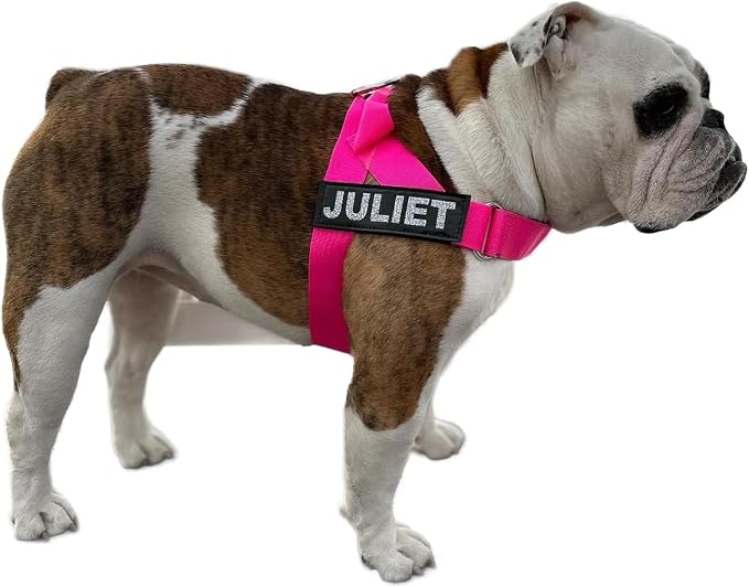 Adjustable Dog Harness– No Pull, No Choke – for English Bulldogs, French Bulldogs, Pugs & Broad-Chested Breeds – Easy, Safe Walks (NEON Pink, Small)