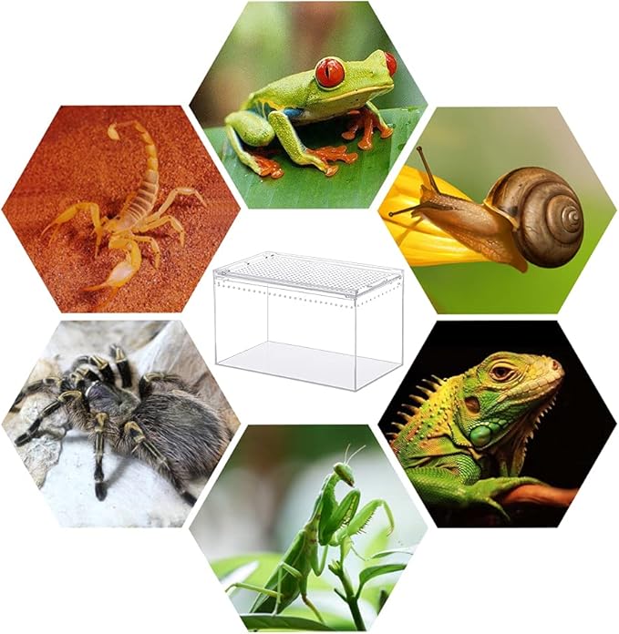 NANEEZOO Magnetic Acrylic Enclosure 10x6x6 Inch Tall Long Case Reptile Habitat Terrarium cage for Terrestrial Arboreal Tarantula Scorpion Sling Isopods Lizards Invertebrates Insect Mantis