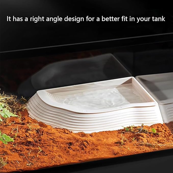 3 Pcs Tortoise Water Dish with Ramp Leaf Tortoise Water Food Bowls Reptile Water Dish Amphibians Habitat Accessories for Lizard Turtle Horned Frog White