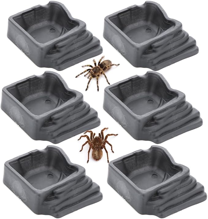 6 Pack Tarantula Water Bowl Hermit Crab Resin Dish for Reptile Tarantula Spider Millipede Insect (Large: 0.94" D, 0.47" H)