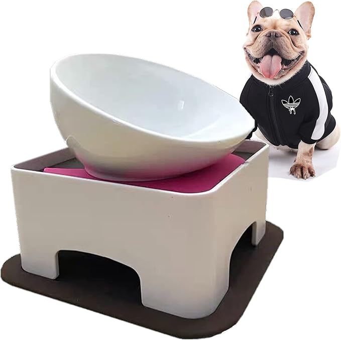 Bulldog Bowl Anti-Slip Dog Cat Dish Detachable Rubber Dog Bowl Pet Sterile Tilted Pet Feeder Slope Base