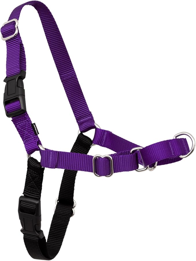 PetSafe Easy Walk Harness, No Pull Dog Harness, Deep Purple, Medium/Large | Patented Martingale Loop Gives Gradual Shoulder Pressure to Stop Pulling, Front-Chest Leash Clip Prevents Gagging