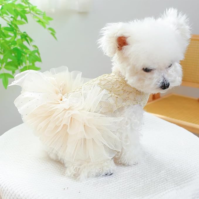 ANIAC Small Dog Dresses,Girl Puppy Princess Tutu Dress with Bow Knot,Cat Outfit,Chihuahua Yorkie Clothes for Birthday Wedding (Large, GL)