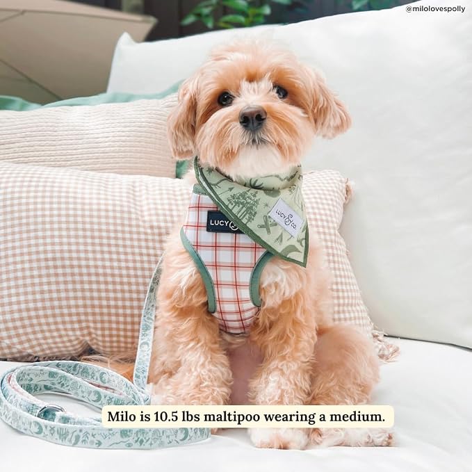 Lucy & Co. Reversible Dog Harness - Water-Repellent Neoprene, Dual-Print Design, Easy Swap Style, Adjustable Comfort Fit - Camp Out Reversible Harness - Medium