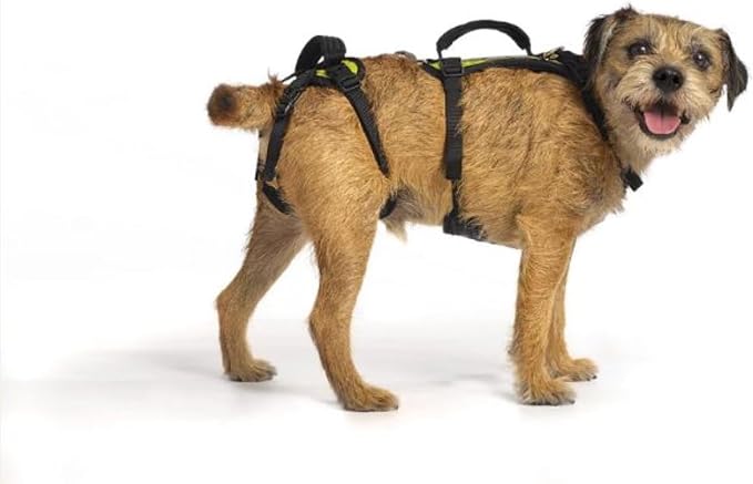 Help 'Em Up® - Dog Lift Harness│ Adjustable Lifting Harness for Dogs │ Full Body Support, Rear Leg Support (Conventional, Small, 25-45 lbs)