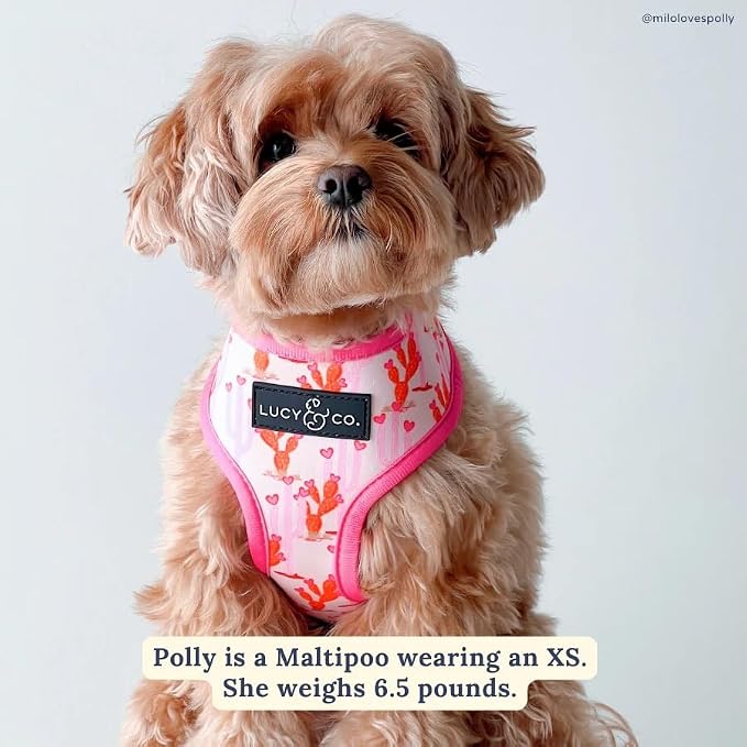 Lucy & Co. Reversible Dog Harness - Water-Repellent Neoprene, Dual-Print Design, Easy Swap Style, Adjustable Comfort Fit - Howdy Honey Reversible Harness - Large