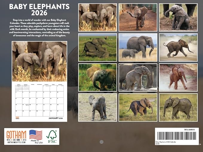 Baby Elephant Calendar 2026 Monthly Wall Calender 12 Month Elephants For Elephant Lovers For Women Men| American Made In The USA