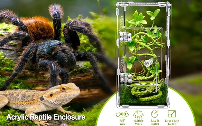 Large Jumping Spider Enclosure, Tarantula Enclosure with Front Opening Door, Spider Enclosure for mantises, Lizards, Frogs and Insects. (6x6x12 Inch, Assemble)