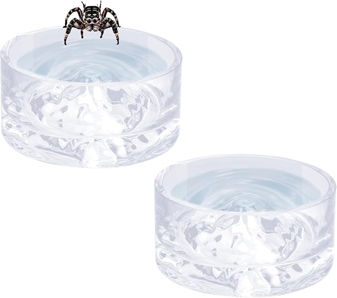 Jumping Spider Enclosure Accessories, 2 Pack Glass Feeding Dish for Food and Water, Little Food Bowl for Jumping Spider, Tarantula, Beetle and Other Small Pets