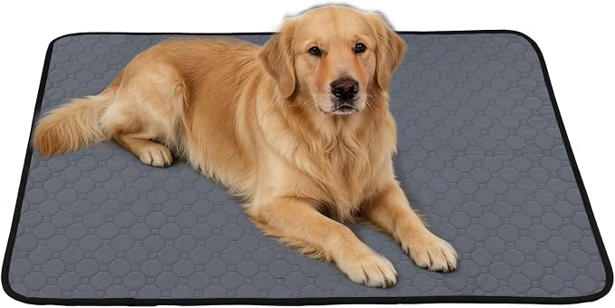 Washable Reusable Pee Pad for Dogs, 1 Pack, 72 x 72 Inch, Playpen | Super Absorbent, Waterproof TPU, Machine Washable & Reusable, Non-Slip Bottom, Floor Protection