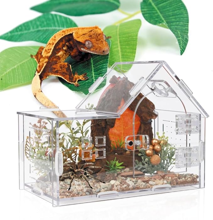 Jumping Spider Enclosure, Acrylic Cabin Terrarium with Sloped Roof & Magnetic Front Door, for Arboreal Pets, Mantis, Small Reptile Habitat (Transparent Color, L 7.9",W 3.9",H 5.9")