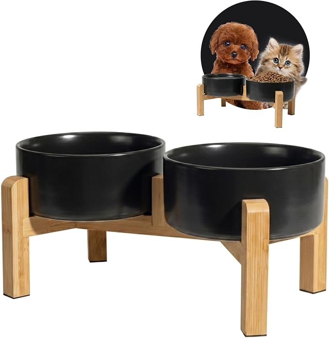 Elevated Ceramic Dog Bowl, 2 Cups Dog Food and Water Bowl Set with Stand | 5.1'' Double Dog Feeding Dishes, Non-Slip Raised Dog Feeder for Cats and Puppies, 16.23 OZ / 480 ML, White