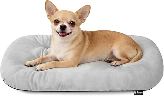 Washable Oval Small Dog Bed, Silver-Tipped High-Resilience, Light Gray | Non-Slip Bottom Prevents Sliding,Soft Plush Short Fur,Machine Washable Cushion,Ideal for Crates & Small Spaces,23"x17"x2.8"