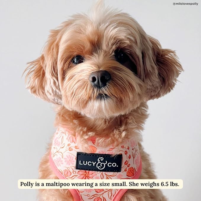 Lucy & Co. Reversible Dog Harness - Water-Repellent Neoprene, Dual-Print Design, Easy Swap Style, Adjustable Comfort Fit - Woodland Wildflowers Reversible Harness - X-Small