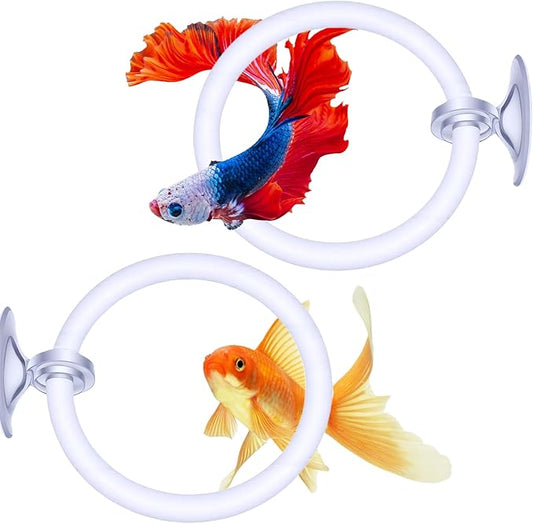 Styquenzer 2 Pcs Beta Fish Aquariums Accessories, Betta Ring Enrichment Toys Fish Feeding Ring Betta Toys for Exercise Training