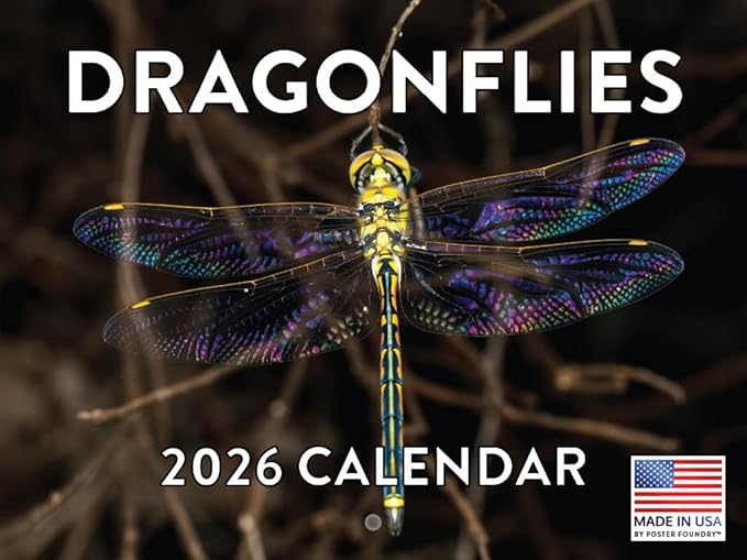 Dragonfly Calendar 2026 Wall Monthly Dragonflys Gifts For Dragonfly Lovers Women Men | American Made In The USA