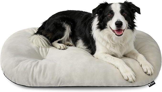 Washable Oval Dog Bed for Large Dogs, Silver-Tipped High-Resilience, Beige | Non-Slip Bottom Prevents Sliding, Soft Plush Short Fur, Machine Washable, Ideal for Crates/Apartments/Cozy Nooks,35"x22"x3.2"