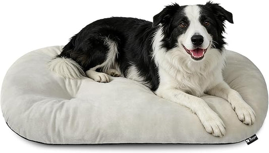 Washable Oval Dog Bed for Large Dogs, Silver-Tipped High-Resilience, Beige | Non-Slip Bottom Prevents Sliding, Soft Plush Short Fur, Machine Washable, Ideal for Crates/Apartments/Cozy Nooks,35"x22"x3.2"