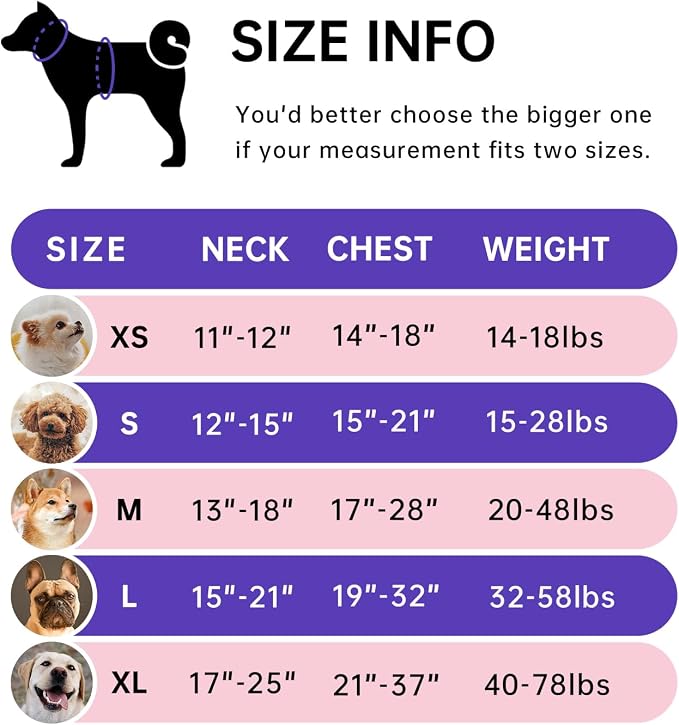 IVY&LANE No Pull Dog Harness for Large Dogs, Dog Vest Harness with Leash, Safety Belt and Storage Strap, Fully Adjustable Harness, 360° Reflective Strip, Soft Handle (Purple, L)