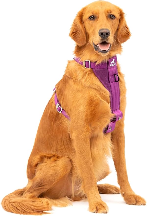 Kurgo Enhanced Strength Tru-Fit Smart Harness, Deep Violet, Medium | Crash Tested Car Harness for Dogs up to 75Lbs, Seatbelt Tether & Steel Carabiner, All-Steel Buckles, Padded Chest for Comfort