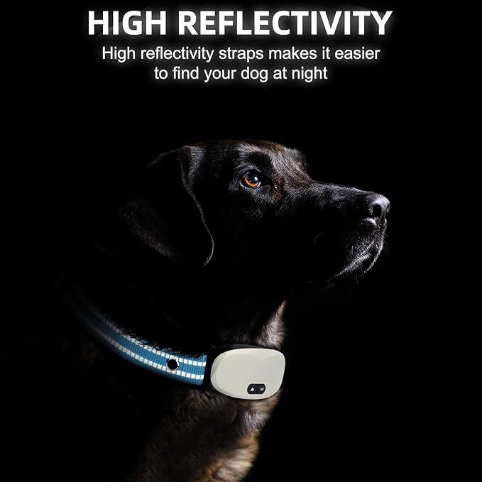Collar Replacement Strap, Reflective Replacement Nylon Collar Strap Dog GPS Training Bark Receiver Collars, Durable Adjustable E Collar Straps for Small Medium Large Dogs, Blue