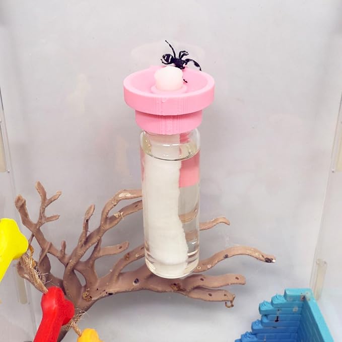 Jumping Spider Water Dispenser, Magnetic Hanging Feeder,Suitable for Jumping Spiders,Tarantulas, Praying Mantises,Arboreal Animals, and Other Small Animal Enclosure Accessories (Pink, 15ML)