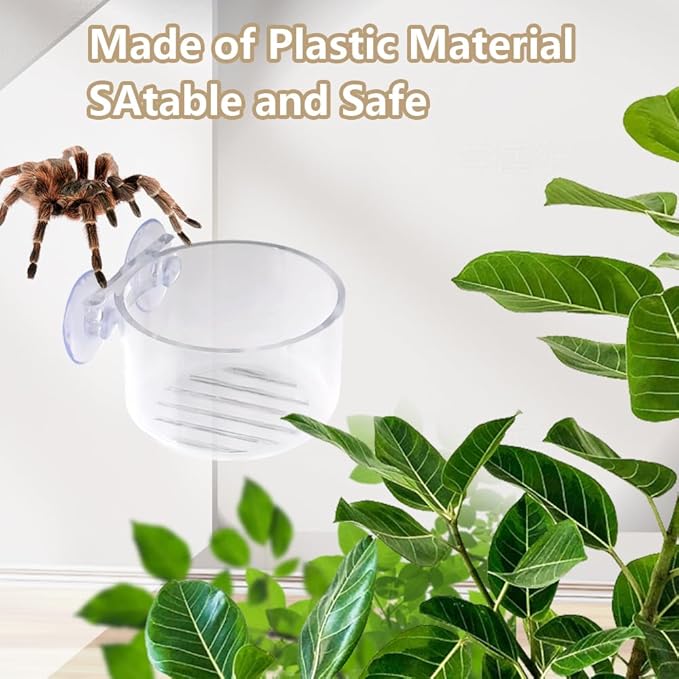4 Pcs Jumping Spider Feeding Dish Water Bowl with Suction Cup for Jumping Spider Tarantula Millipede Small Reptiles
