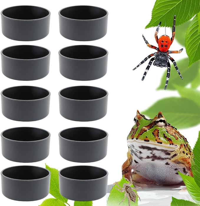 10 Pcs Small Reptile Water Bowl Food Dish Feeding Bowl for Spider Gecko Lizard Horned Frog Turtle Snake (Black)