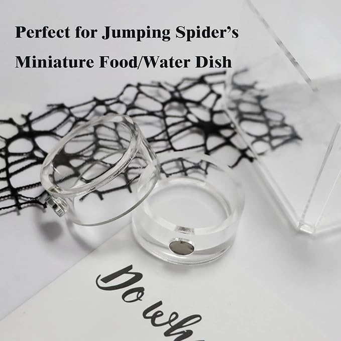 Small Jumping Spider Feeding Dish, Magnetic Tiny Food Dishes Water Dish for Jumping Spider, Tarantula and Other Small Pets,35mm, Clear