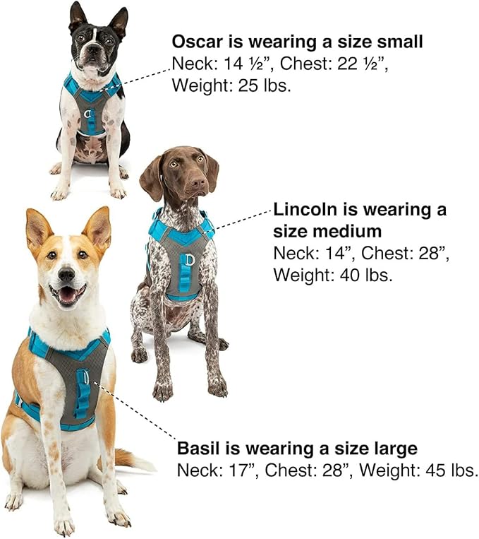 Kurgo Journey Air Dog Harness, Coral, Extra Large | Padded Chest, Ripstop Outer & Breathable Mesh, Back Assist Handle, Rust-Free Aluminum Hardware, Reflective Trim