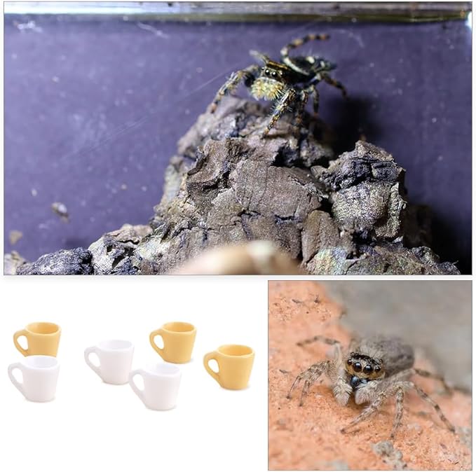 6 Pack Spider Micro Water Bowl Tarantula Resin Feeding Bowl for Tarantula Spider Millipede Tiny Bugs (Yellow and White)