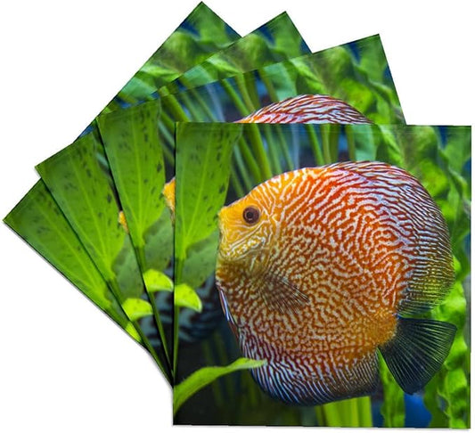 3dRose Super Pigeon Snakeskin Discus, Tropical Freshwater Fish Set of 4 Ceramic Tile Coasters