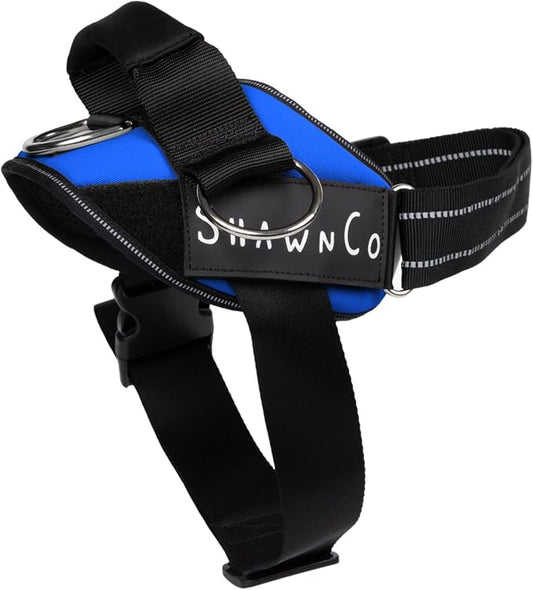 ShawnCo Essential Pro Dog Harness, No-Pull Pet Vest with 3 Leash Clips and Removable, Reflective Side Patches, Adjustable and Padded Harness for Small, Medium and Large Dogs (Electric Blue, L)