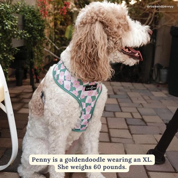 Lucy & Co. Reversible Dog Harness - Water-Repellent Neoprene, Dual-Print Design, Easy Swap Style, Adjustable Comfort Fit - Just Chill Reversible Harness - Medium