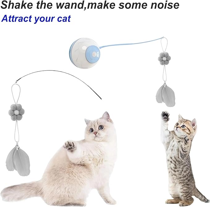 Cat Toilet Training Systems,Cat Toilet Training Kit,Reusable Plastic Trainer for Pet Cleaning with 1 Replaceable Cat Feather Toy,Litter Boxes (Gray)