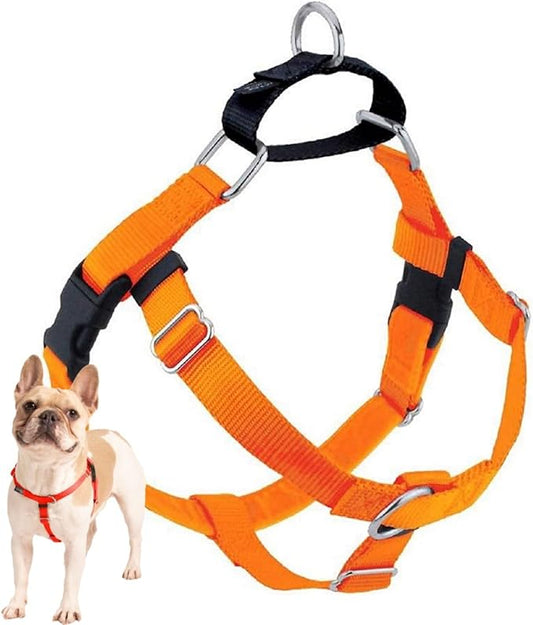 2 Hounds Design Freedom No Pull Dog Harness, 5/8 inch SM, Neon Orange | Discourages Pulling, Comfortable Control Adjustable Dog Harness for Small Sized Dogs, Made in USA (Leash Not Included)