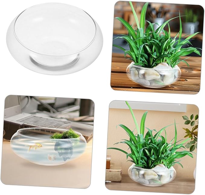 BESPORTBLE Clear Glass Betta Fish Tank Bowl Hydroponic Plant Terrarium for Succulents Goldfish Spacious Interior Durable Design for Home Decor Events