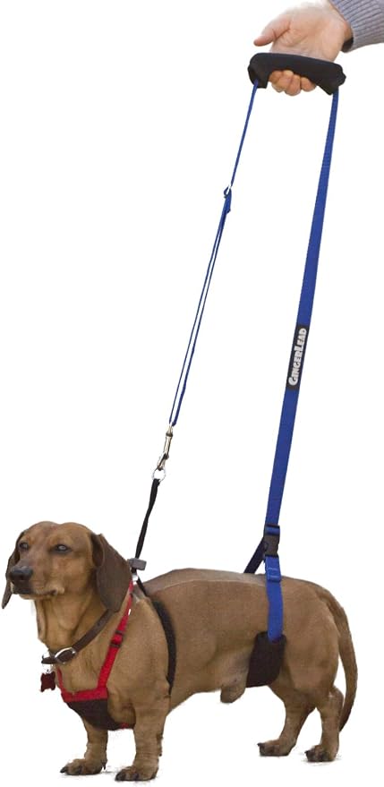 Dog Back Support IVDD Sling Harness, X-Small & Dachshunds | Fits Pets Under 25 lbs and Doxies, Walking Aid for K9s with Disc Disease, Fully Adjustable, Chest Harness NOT Included