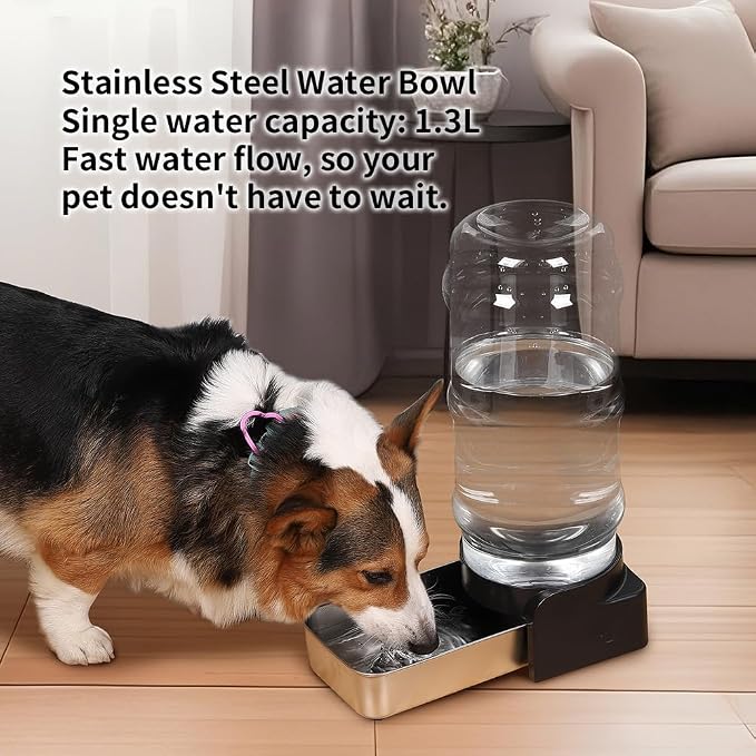 PAKEWAY 2.4 Gallon Gravity Dog Water Dispenser for Large Dogs and Multi-Pet Homes, Automatic Pet Waterer with Stainless Steel Bowl, Transparent Tank and 3 Filters, 9L