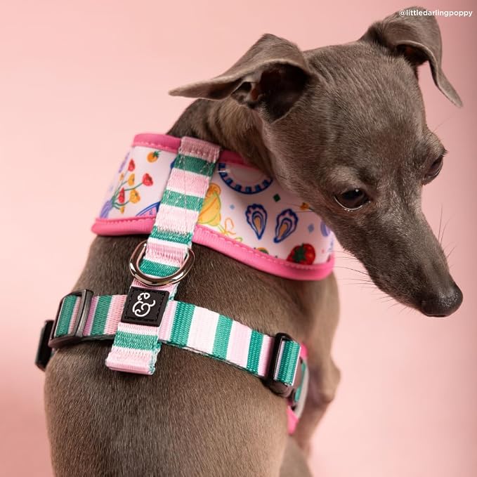 Lucy & Co. Dolce Vita Reversible Dog Harness, Adjustable Comfort Fit with Dual Leash Attachments, Large