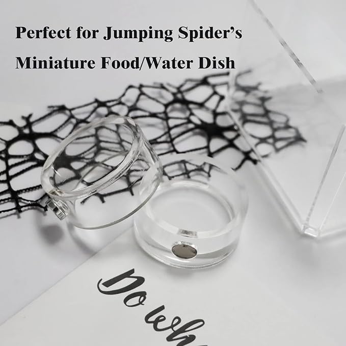 2Pcs Small Jumping Spider Feeding Dish, Magnetic Tiny Food Dishes Water Dish for Jumping Spider, Tarantula and Other Small Pets,35mm