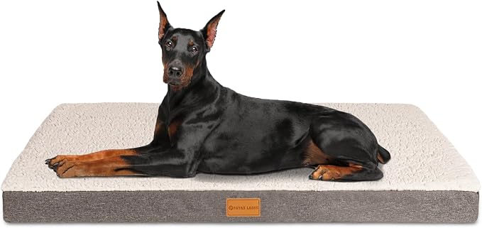 Patas Lague Orthopedic Large Dog Bed Washable Pet Sofa Mat 56''X40'' Ivory | Egg-Crate Foam Dog Couch For Large Sized Dogs, Waterproof Removable Cover, Soft Pet Crate Bed With Nonskid Bottom