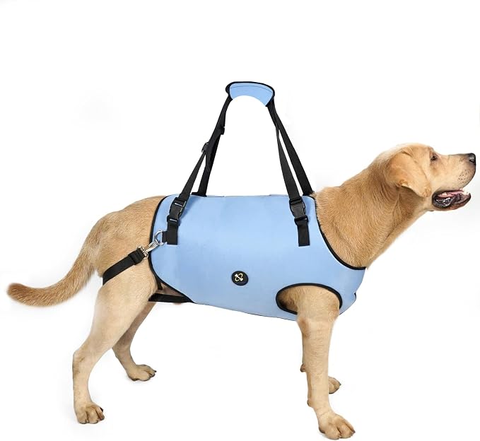 Coodeo Dog Lift Harness, Pet Support & Rehabilitation Sling Lift Adjustable Padded Breathable Straps for Old, Disabled, Joint Injuries, Arthritis, Loss of Stability Dogs Walk (Blue, L)