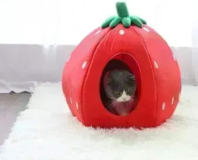 YML Strawberry Pet Bed House for Cats, Dogs, Kittens, Puppies, Rabbits, Medium, Red