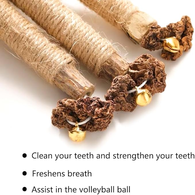 6 Pcs Natural Silvervine Sticks Catnip Toys - Cat Toys Indoor Cats Interactive Matatabi Dental Care Teething Chew Toys for Cats and Kittens Who Love to Chew